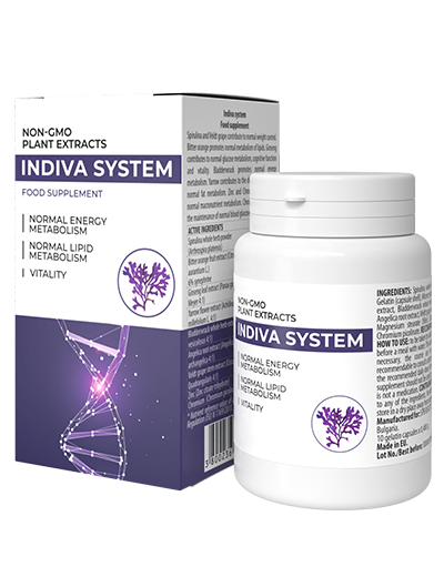 InDiva System
